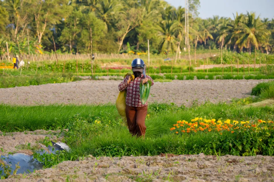 Đội ngũ kỹ thuật tại vườn